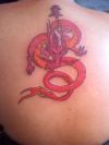 chinese dragon pics tattoos on back